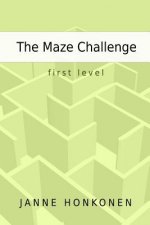Maze Challenge - First Level