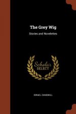 Grey Wig