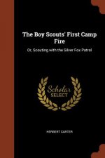 Boy Scouts' First Camp Fire