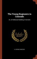 Young Engineers in Colorado