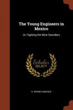 Young Engineers in Mexico