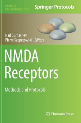 NMDA Receptors