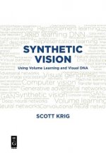 Synthetic Vision