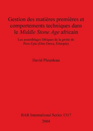 Gestion des matieres premieres et comportements techniques dans le Middle Stone Age africain