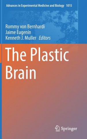 Plastic Brain