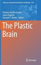 Plastic Brain