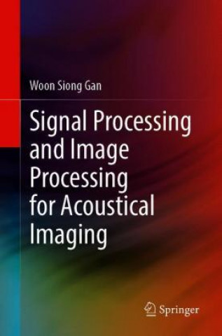 Signal Processing and Image Processing for Acoustical Imaging