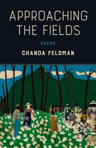 Approaching the Fields