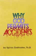 WHY GOD PERMITS ACCIDENTS