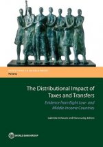 distributional impact of taxes and transfers