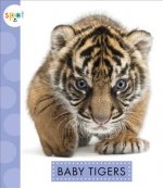 Baby Hippos