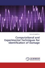 Computational and Experimental Techniques for Identification of Damage