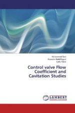 Control valve Flow Coefficient and Cavitation Studies