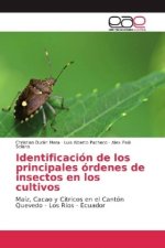 Identificación de los principales órdenes de insectos en los cultivos