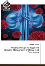 Minimally Invasive Nephron Sparing Managment of Renal Cell Carcinoma