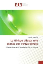 Le Ginkgo biloba, une plante aux vertus dorées