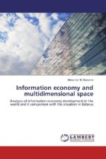 Information economy and multidimensional space