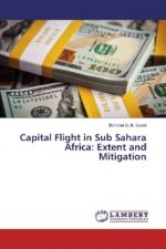 Capital Flight in Sub Sahara Africa: Extent and Mitigation