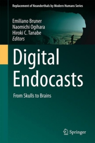 Digital Endocasts