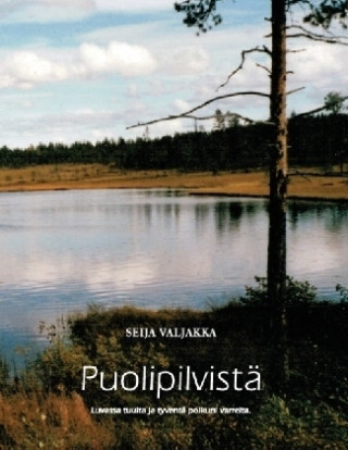 Puolipilvistä