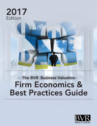 BVR Business Valuation Firm Economics & Best Practices Guide