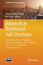 Advances in Reinforced Soil Structures