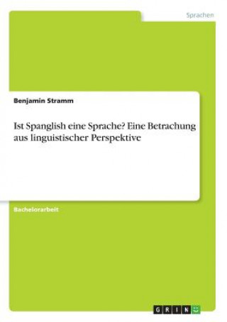 Ist Spanglish eine Sprache? Eine Betrachung aus linguistischer Perspektive