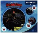 (4)Starter-Box