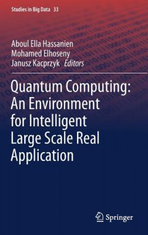 Quantum Computing:An Environment for Intelligent Large Scale Real Application
