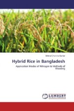 Hybrid Rice in Bangladesh