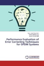 Performance Evaluation of Error Correcting Techniques for OFDM Systems