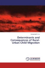 Determinants and Consequences of Rural-Urban Child Migration