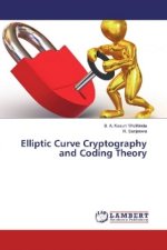 Elliptic Curve Cryptography and Coding Theory