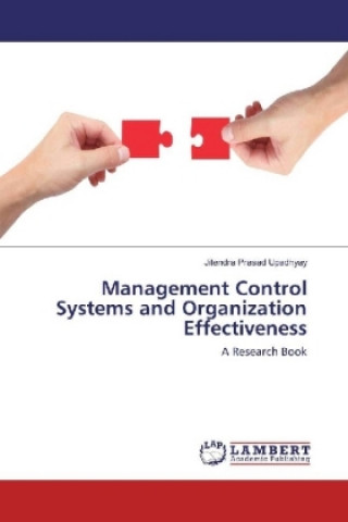 Management Control Systems and Organization Effectiveness