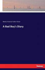 Bad Boy's Diary