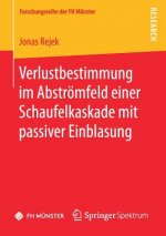 Verlustbestimmung im Abstroemfeld einer Schaufelkaskade mit passiver Einblasung