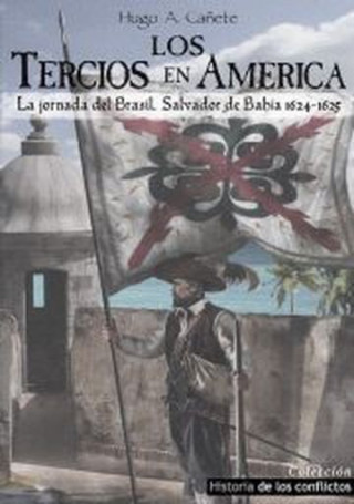 Los Tercios en América: La jornada de Brasil, Salvador de Bahía 1624-1625