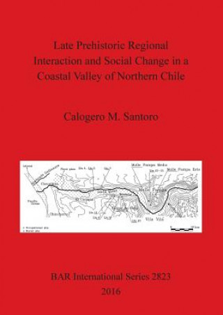 Late prehistoric regional interaction and social change in a coastal valley of northern Chile
