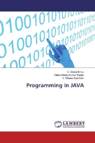 Programming in JAVA