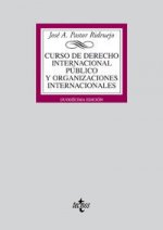 Curso de derecho internacional público y organizaciones internacionales