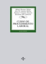 Curso de procedimiento laboral