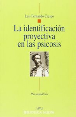 La identificación proyectiva en las psicosis