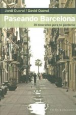 Paseando Barcelona : 20 itinerarios para no perderse