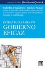 Estrategias para un gobierno eficaz