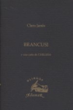Brancusi y una carta de Chillida