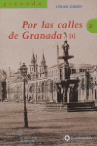Por las calles de Granada
