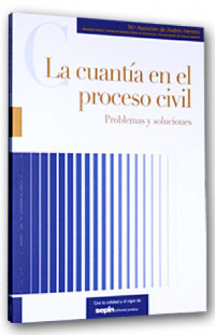 La cuantía en el proceso civil : problemas y soluciones