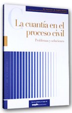 La cuantía en el proceso civil : problemas y soluciones