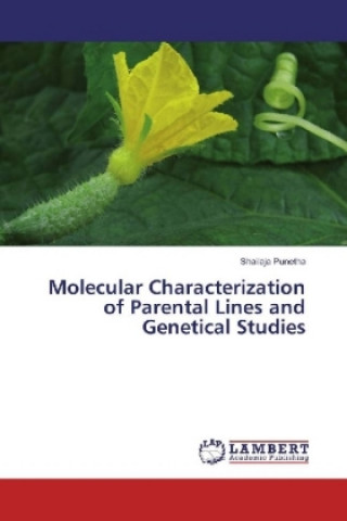 Molecular Characterization of Parental Lines and Genetical Studies