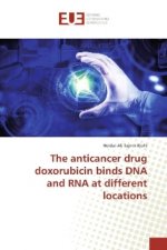 anticancer drug doxorubicin binds DNA and RNA at different locations